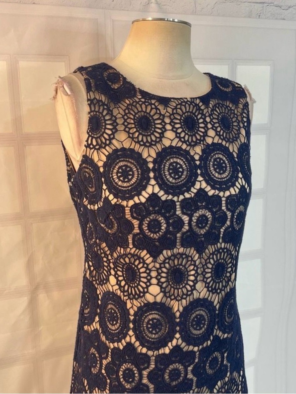 Eliza J Sleeveless Navy Lace Nude-Lined Sheath Overlay Dress Size 4 NWOT - Picture 2 of 10